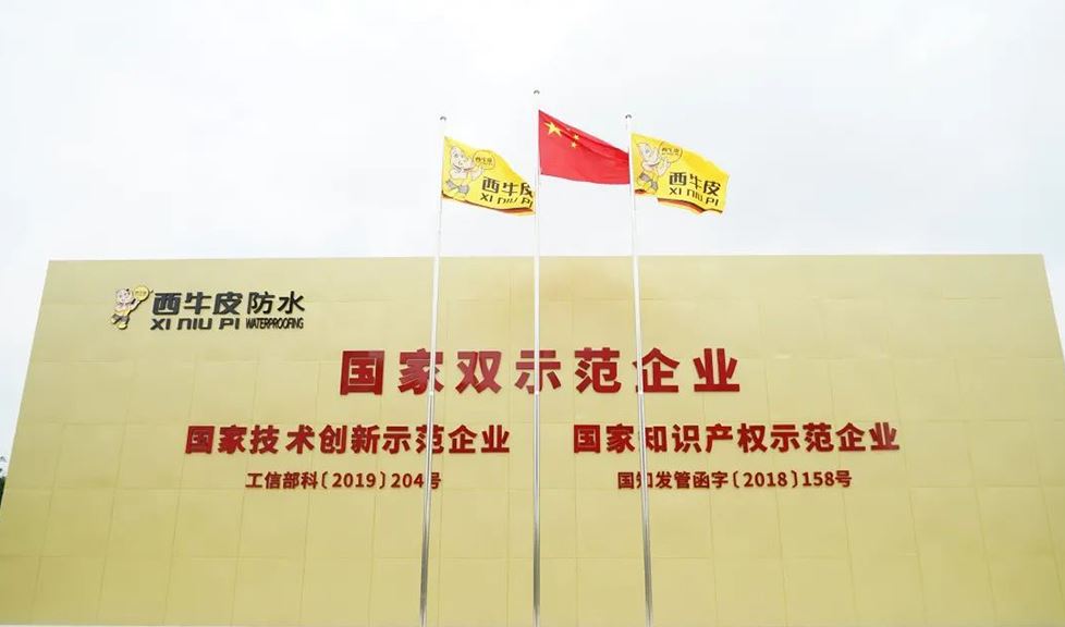西牛皮副總經(jīng)理郭文雄 榮獲國家“企業(yè)知識產(chǎn)權(quán)工作先進個人”
