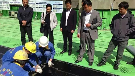 【公司新聞】西牛皮（原金雨傘）新疆圖集順利通過(guò)審核